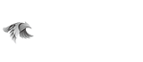 PictureGuy-logo-drone-media@05x